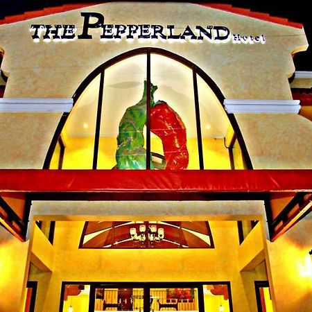 The Pepperland Hotel Legazpi Exterior photo