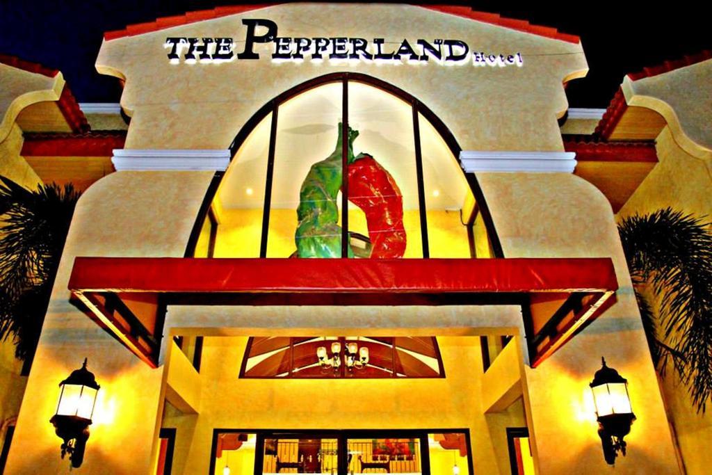 The Pepperland Hotel Legazpi Exterior photo